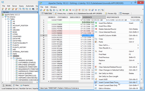 Apache Derby - Table Data Editor