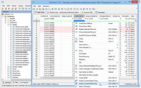 Informix - Table Data Editor