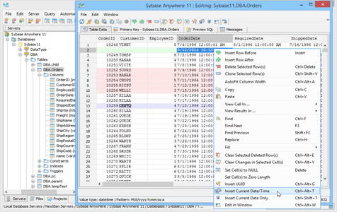 Sybase Anywhere - Table Data Editor