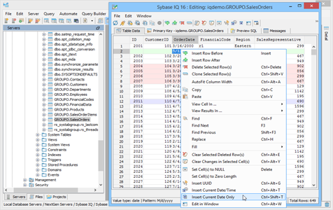 Sybase IQ - Table Data Editor