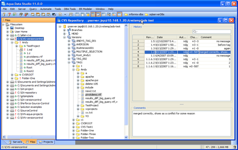 CVS Repository Browser in Aqua Data Studio