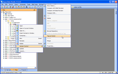 CVS Version Control Tagging in Aqua Data Studio