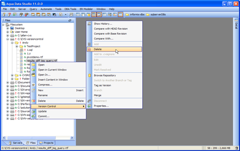 CVS Working with Files in Version Control in Aqua Data Studio