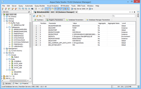 DBA Tool Instance Manager Registry Parameters in Aqua Data Studio