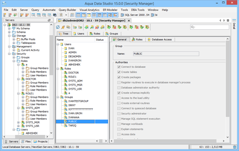 DBA Tool Security Manager Tree in Aqua Data Studio