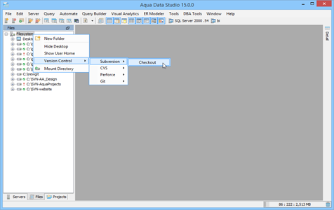 Filesbrowser Right Click Checkout Project in Aqua Data Studio