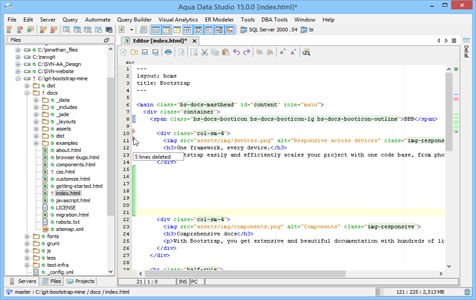 Git Client Inline Difference Indicators in Aqua Data Studio