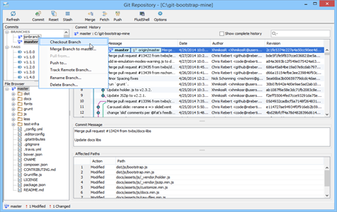 Git Switch Checkout Branch Menu in Aqua Data Studio