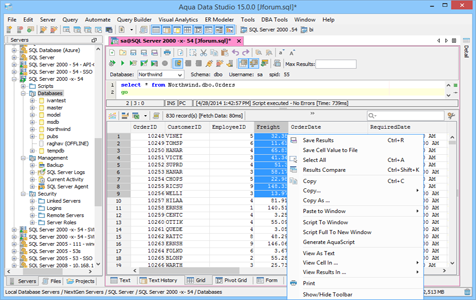 Grid Results in Aqua Data Studio