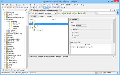 Informix DBA Tool Security Manager Tree in Aqua Data Studio