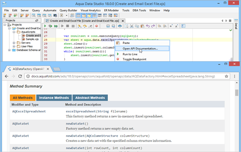 Javascript IDE Open API Context Sensitive Help in Aqua Data Studio