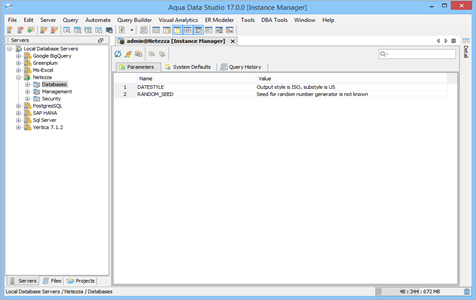 Netezza DBA Tool Instance Manager Parameters in Aqua Data Studio