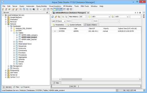 Netezza DBA Tool Instance Manager Query History in Aqua Data Studio