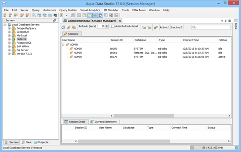 Netezza DBA Tool Session Manager Sessions in Aqua Data Studio