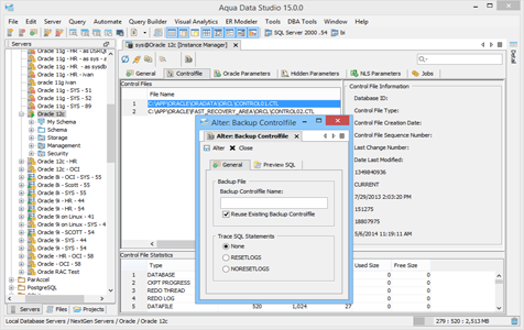 Oracle DBA Tool Instance Manager in Aqua Data Studio