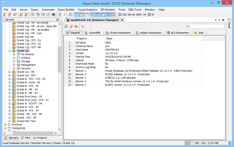 Oracle DBA Tool Instance Manager General in Aqua Data Studio