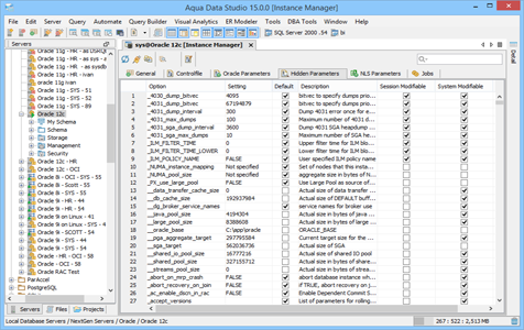 Oracle DBA Tool Instance Manager Hidden Parameters in Aqua Data Studio