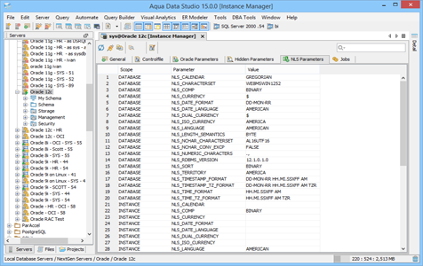 Oracle DBA Tool Instance Manager Nls Parameters in Aqua Data Studio