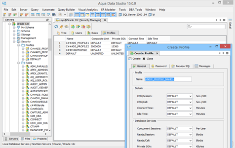 Oracle DBA Tool Security Manager Profiles in Aqua Data Studio