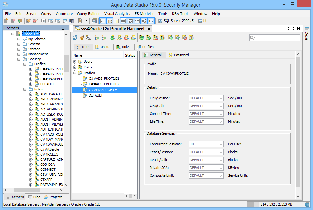Oracle DBA Tool Security Manager Tree in Aqua Data Studio