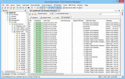 Oracle DBA Tool Session Manager Long Ops in Aqua Data Studio