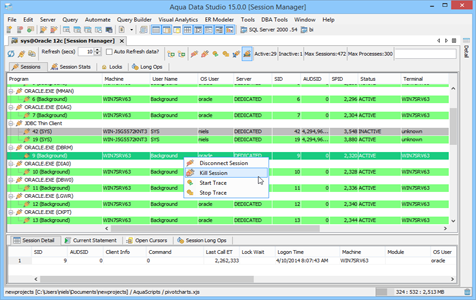 Oracle DBA Tool Session Manager Sessions in Aqua Data Studio