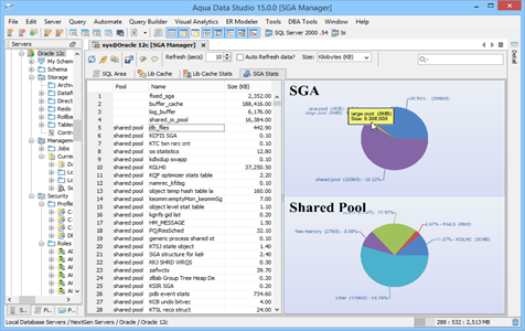 Oracle DBA Tool SGA Manager in Aqua Data Studio