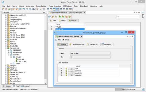 Paraccel DBA Tool Security Manager Groups in Aqua Data Studio