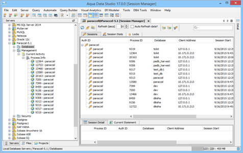 Paraccel DBA Tool Session Manager Sessions in Aqua Data Studio