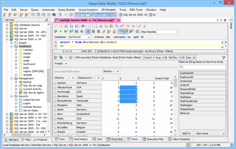 Pivot Grid Results in Aqua Data Studio