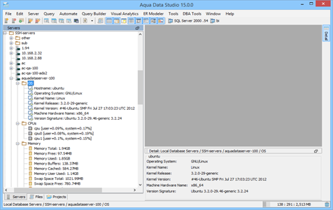 Secure Shell SSH Browser in Aqua Data Studio