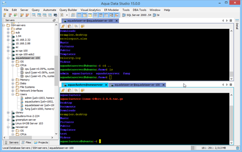 Secure Shell SSH Horizontal Tabs in Aqua Data Studio