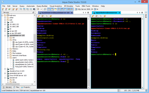 Secure Shell SSH Vertical Tabs in Aqua Data Studio