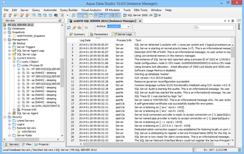 SQL Server DBA Tool Instance Manager Server Logs in Aqua Data Studio