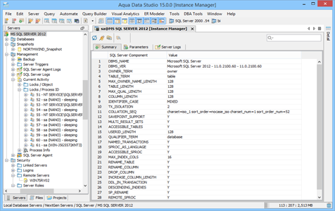 SQL Server DBA Tool Instance Manager Summary in Aqua Data Studio