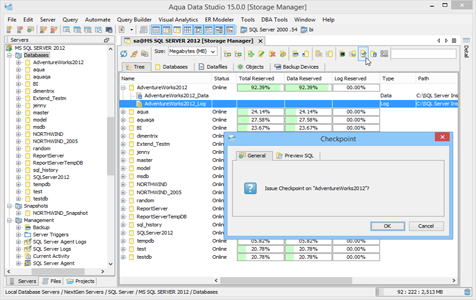 SQL Server DBA Tool Storage Manager Tree in Aqua Data Studio