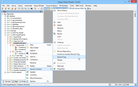 Subversion Branch Tag in Aqua Data Studio