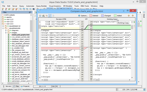 Subversion Compare with Base Revision Results in Aqua Data Studio