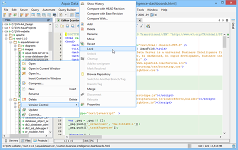 Subversion Lock in Aqua Data Studio
