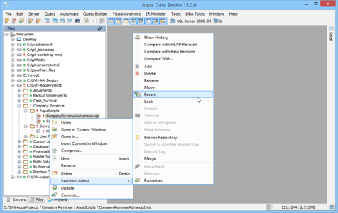 Subversion Working with Files in Aqua Data Studio