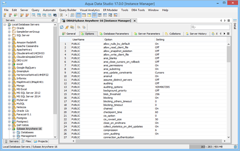 Sybase Anywhere DBA Tool Instance Manager Options in Aqua Data Studio