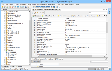 Sybase IQ DBA Tool Instance Manager General in Aqua Data Studio