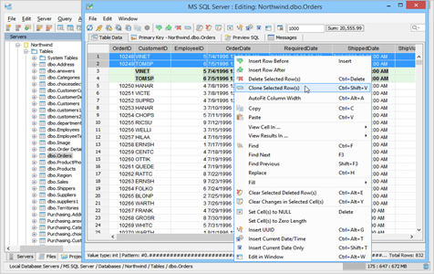 Table Data Editor Clone Selected Rows in Aqua Data Studio