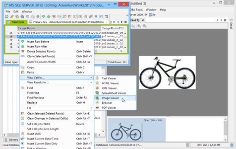 Table Data Editor Image Viewer in Aqua Data Studio