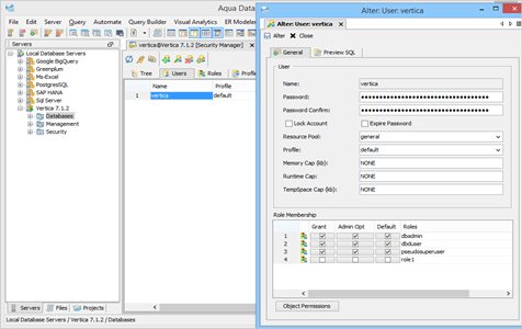 Vertica DBA Tool Security Manager Users in Aqua Data Studio