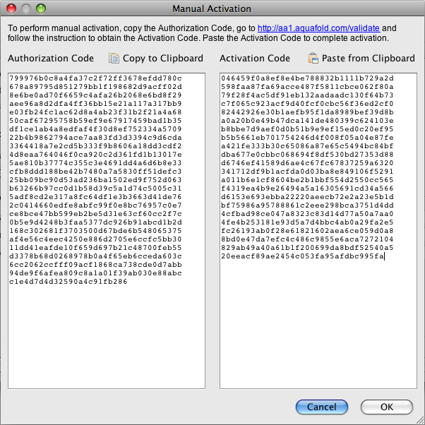 Manual Activation Code Pasted